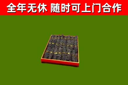南康区回收海参